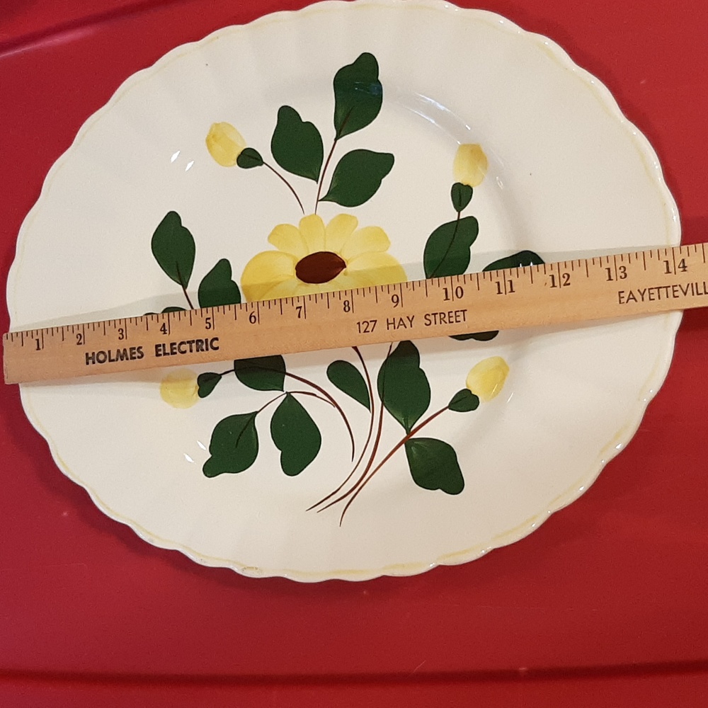 Blue Ridge vintage platter - Picture 2 of 10